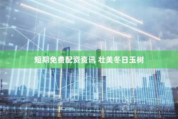 短期免费配资资讯 壮美冬日玉树